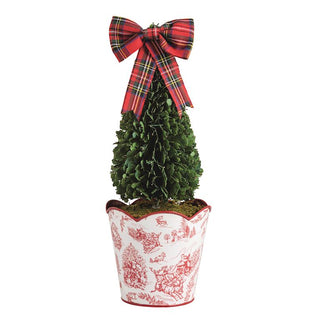 Large Toile Boxwood Topiary