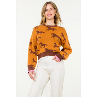 Knit Horse Sweater