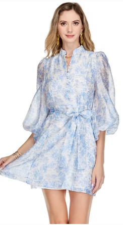 Stand Collar A Line Dress Bashful