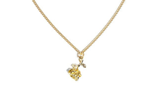 My Rose Necklace
