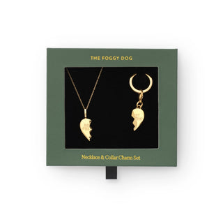 Best Friends Furever Necklace and Collar Charm Set