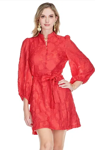 Red Stand Collar A Line Dress