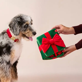 Holiday Present Interactive Snuffle Dog Toy