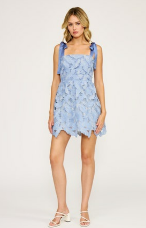 Micah Mini Lace Dress