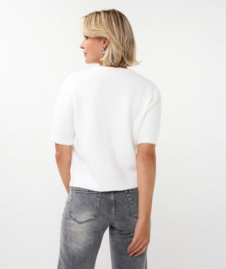 Sweater Fancy Neck Short Sleeve