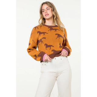 Knit Horse Sweater