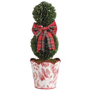 Small Toile Boxwood Topiary