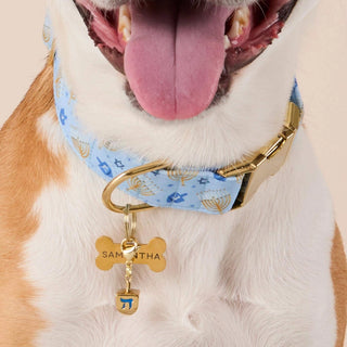 Dreidel Collar Charm