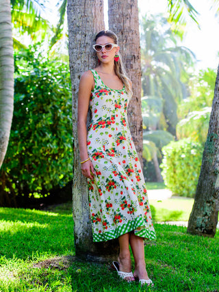 Alice Strawberry Dress