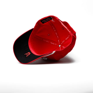 Hometown Red w/ White Rope Standard