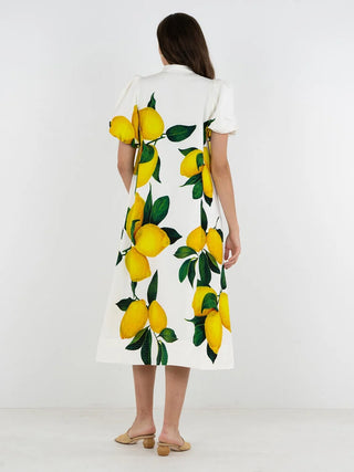 Hampton Dress in Limone