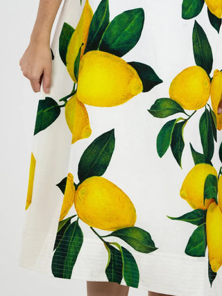 Hampton Dress in Limone