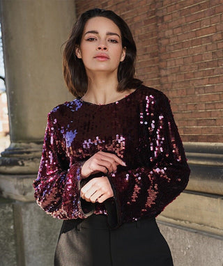 Top Flared Sleeve Sequins