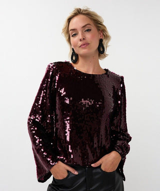 Top Flared Sleeve Sequins